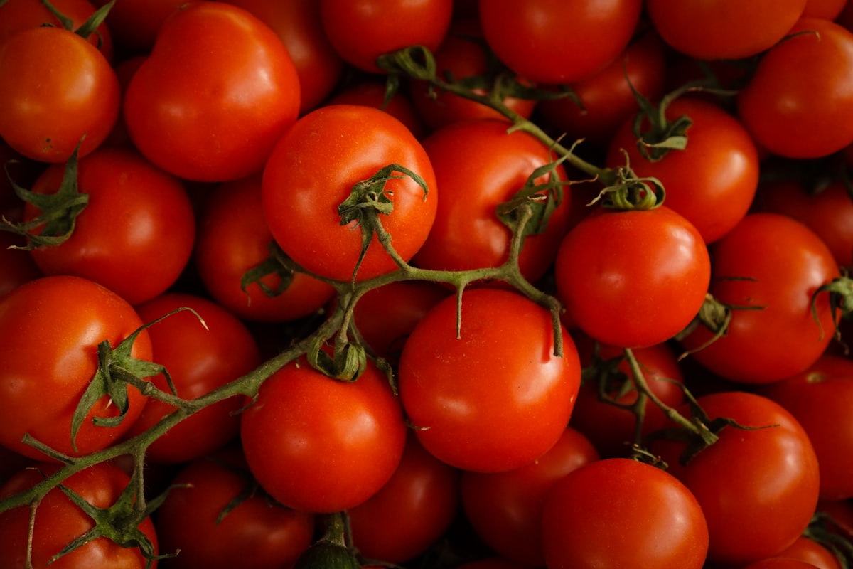 Pomodori ricchi di licopene